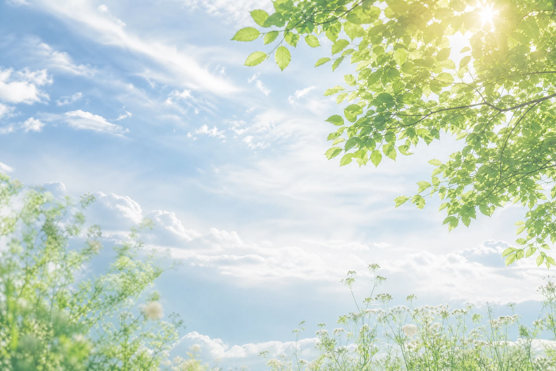 緑の葉の向こうに広がる青空